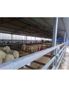 焦作市中站區兵帥養殖專業合作社 專業動物養殖與銷售的綠色典范